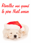 Un chiot endormi en attendant Noël